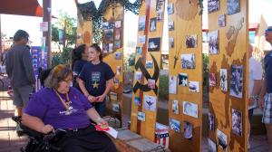 exhibit boards